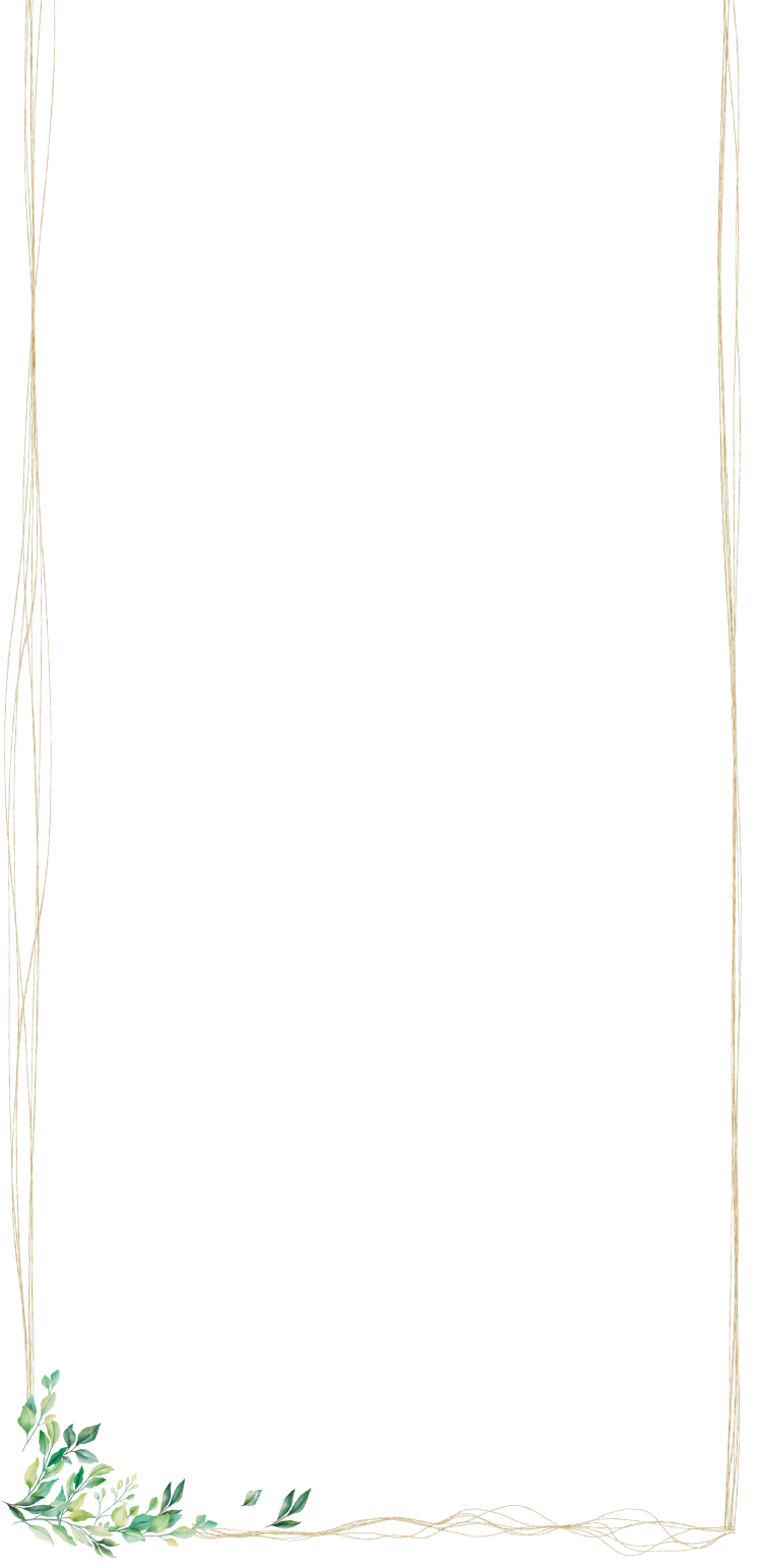 魔法の癒しの森 魔法の癒しの森