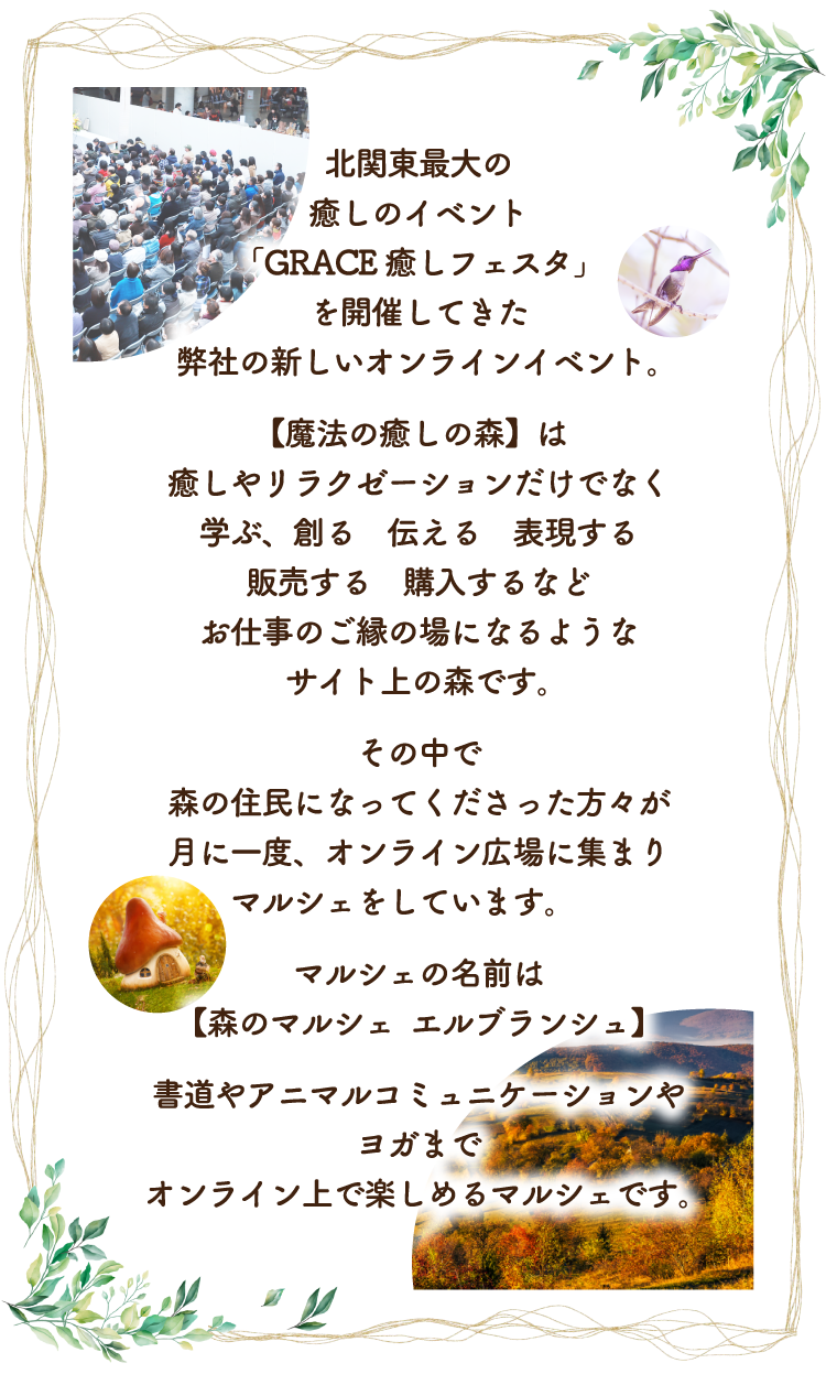 魔法の癒しの森 魔法の癒しの森